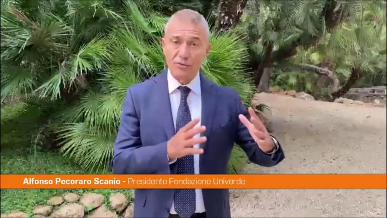 Pecoraro Scanio “Grande assemblea civica ed ecologista con Conte”