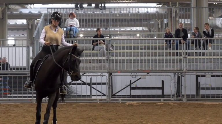 Equitazione, Di Paola “Obiettivo salto ostacoli a Parigi 2024”