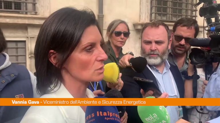 Gava “Garantire la sicurezza energetica per il Paese”