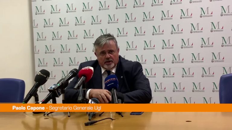 Lavoro, Capone “Serve il taglio del cuneo fiscale”