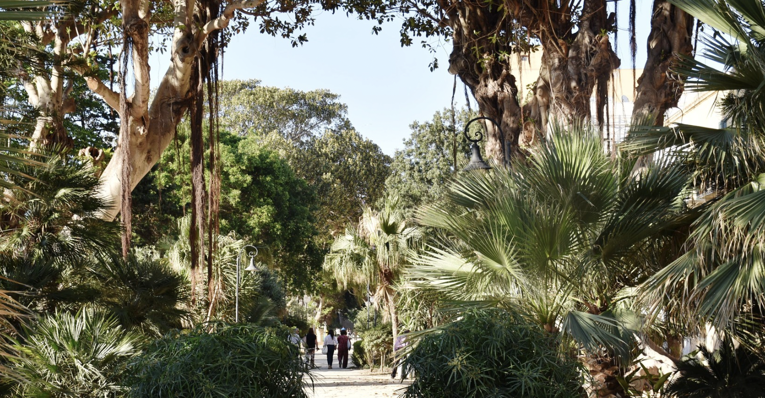 Dalla Regione 90 mila euro ai Comuni per la cura degli alberi monumentali