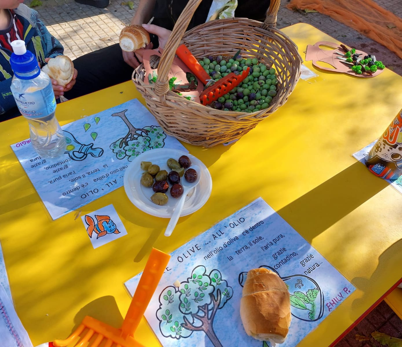 Alla scuola “Giovanni Paolo II” di Marsala si raccolgono le olive