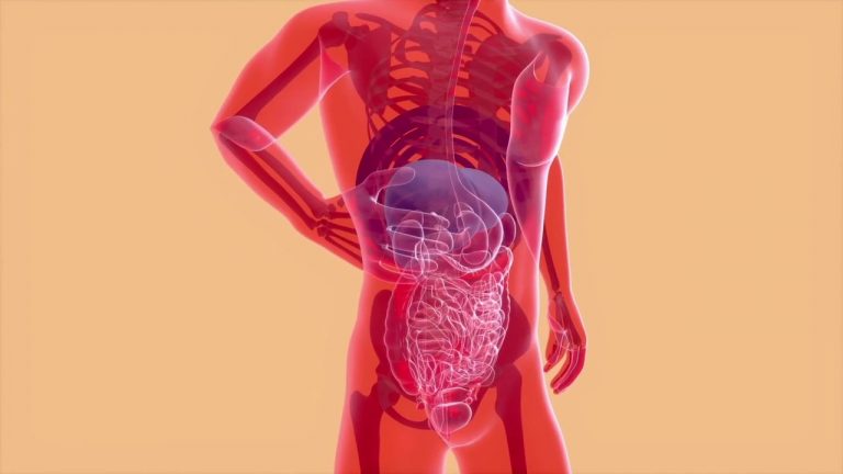 L’immunoterapia per prevenire le metastasi al fegato