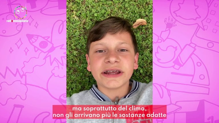 Il cambiamento climatico sta uccidendo le piante