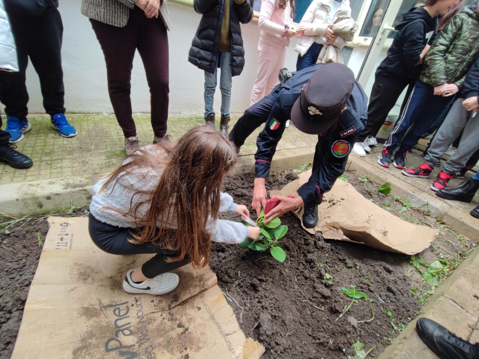 La “Radice-Pappalardo” di Castelvetrano pianta in giardino l’albero simbolo di Falcone
