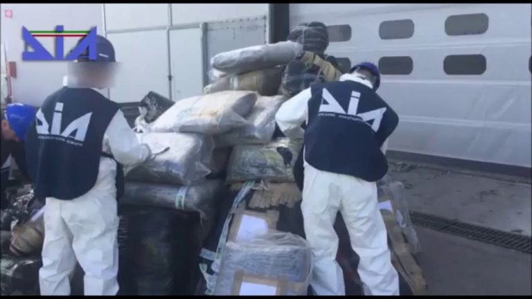 Traffico internazionale di droga dall’Albania, 14 arresti