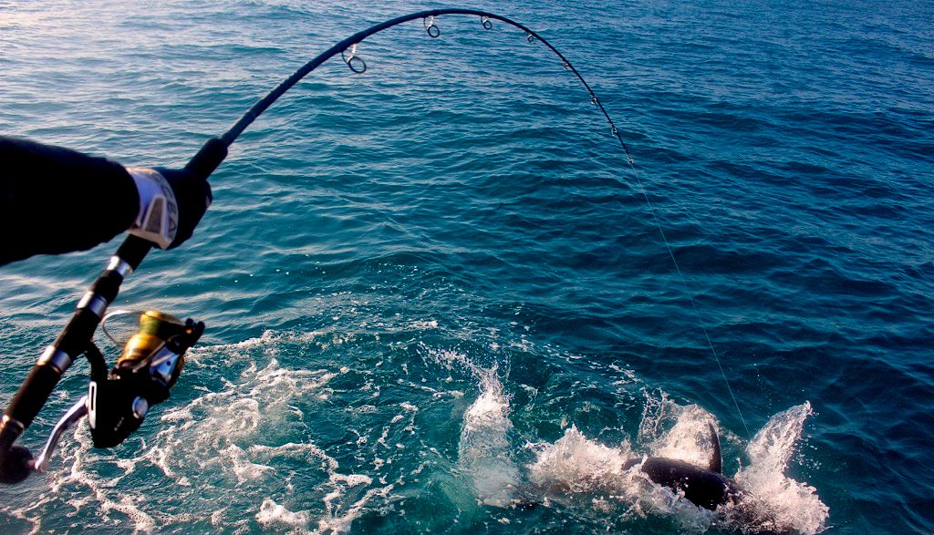 ‘Economia blu’: 10 comuni del trapanese insieme per la Pesca