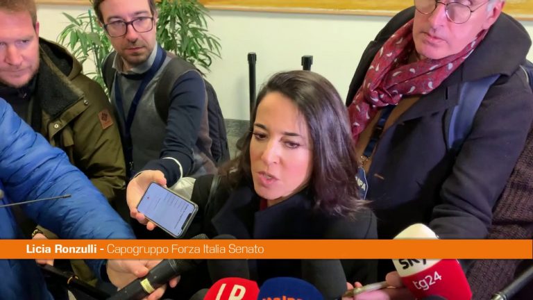 Carburanti, Ronzulli “Nessuna fibrillazione nella maggioranza”