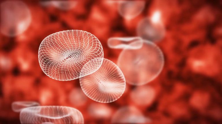 Raccolta di plasma in calo nel 2022