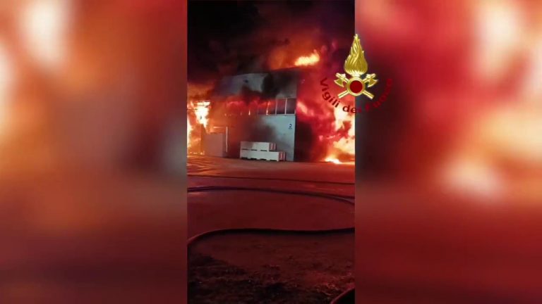 Rovigo, un incendio distrugge parte di una azienda ittica. Le immagini