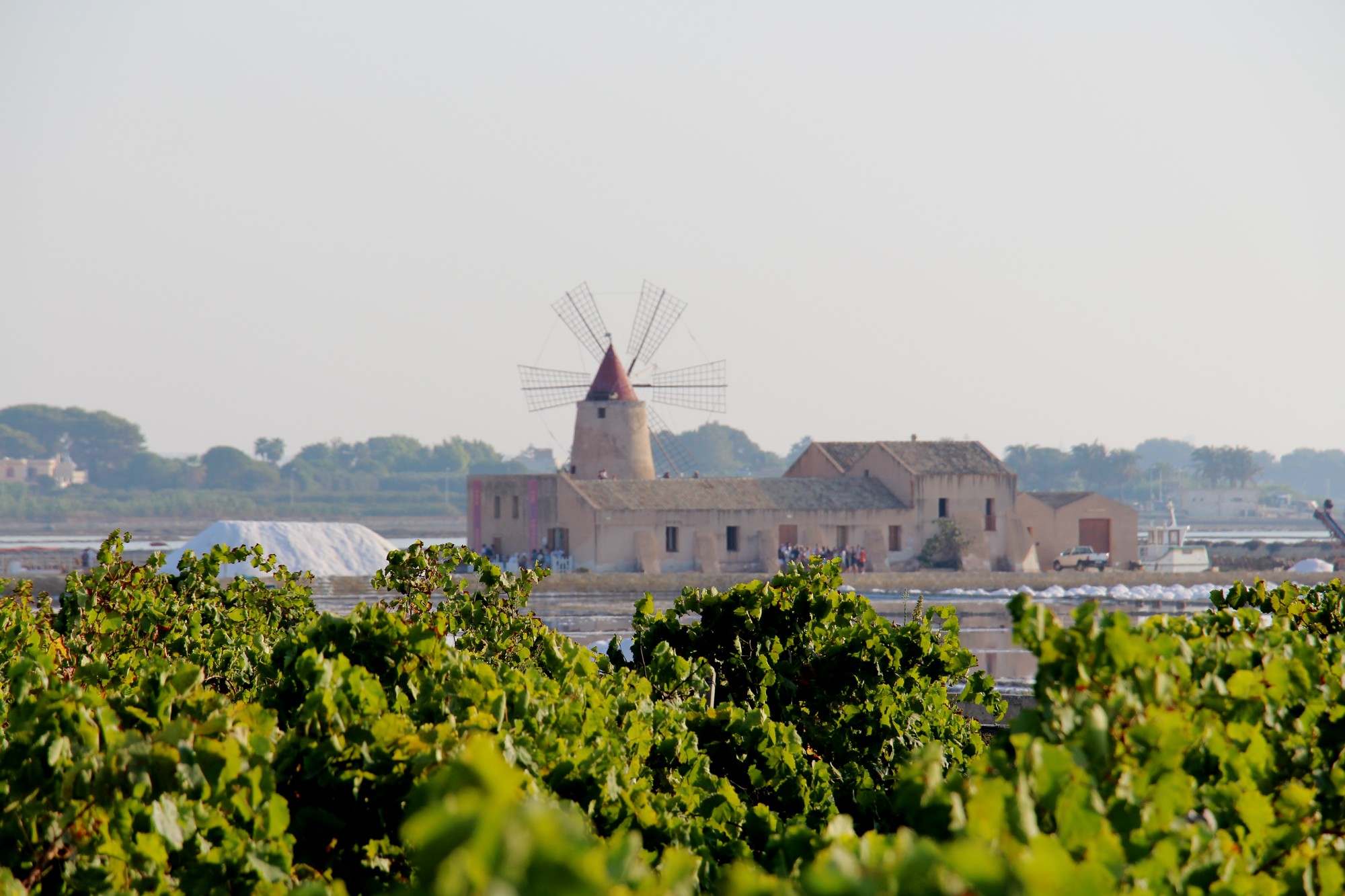 I 250 anni del vino Marsala, alla Bit di Milano si presentano gli appuntamenti GaribalVini