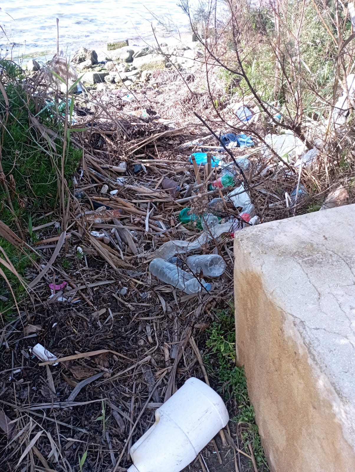 Stagnone di Marsala sempre più plastic… no free