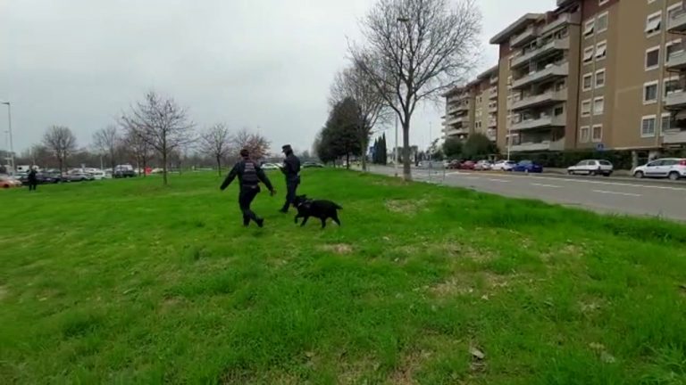 Cani avvelenati a Firenze, bonifica dell’unità cinofila