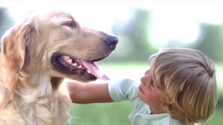 La terapia con i cani per i disturbi di personalità