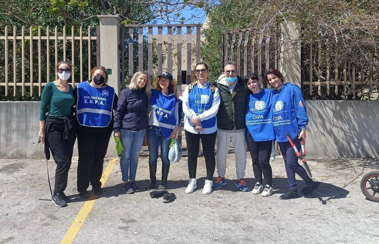 Come combattere il randagismo a Trapani? Ci pensano Eipa e Oipa