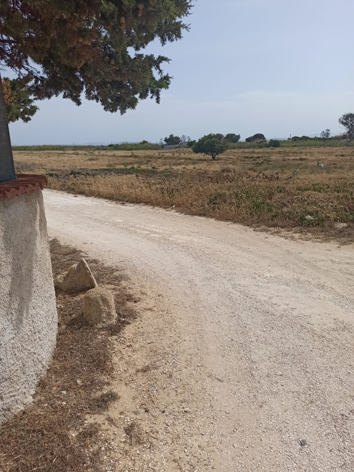 A Campobello si ‘loca’ un terreno confiscato alla mafia