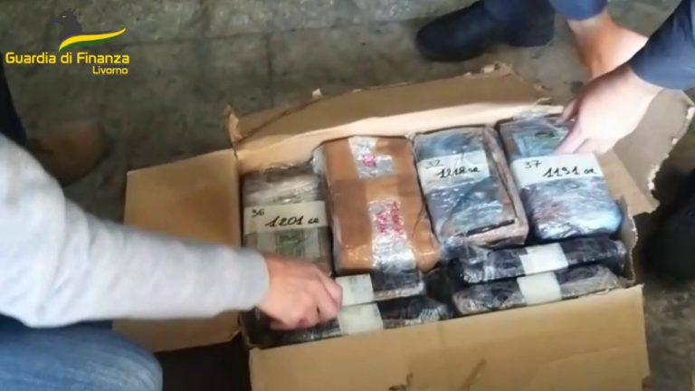 180 kg di cocaina nascosti tra le banane. Scatta il maxi sequestro. VIDEO