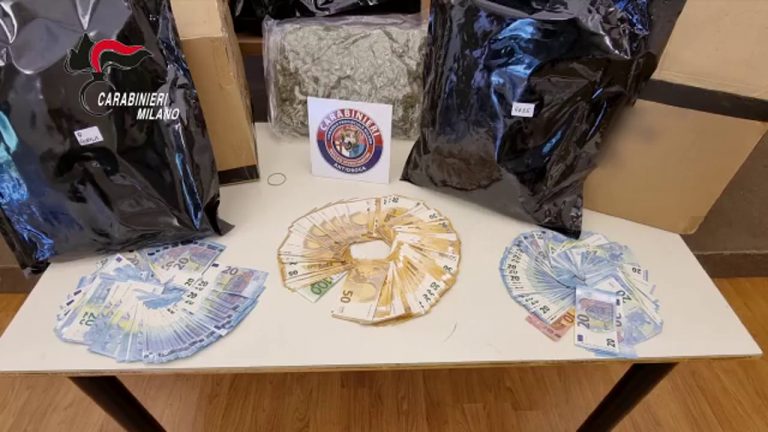 Colpo a spaccio di stupefacenti, 14 arresti tra Lombardia e Piemonte