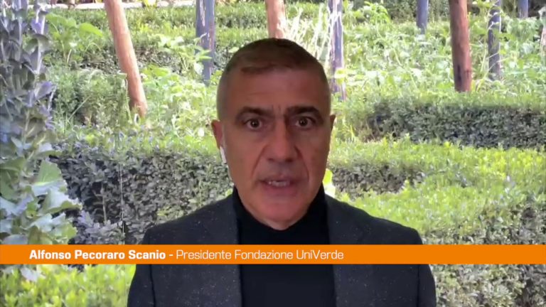 Pecoraro Scanio “Bene apertura Conte a Schlein per area progressista”