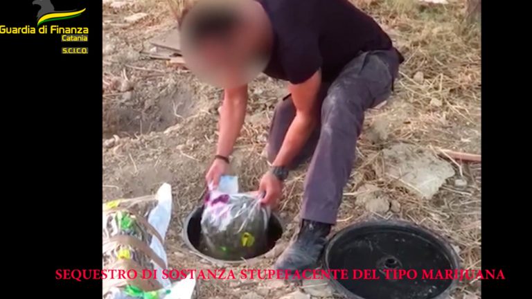 Operazione Slot machine: sequestrate 11mila piante di cannabis, 21 indagati