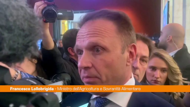Regionali, Lollobrigida: “Il centrodestra cresce”. VIDEO