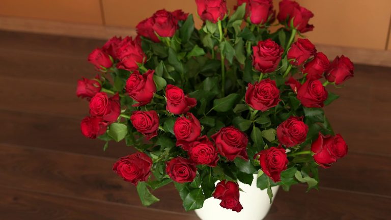 San Valentino, un italiano su due regala fiori