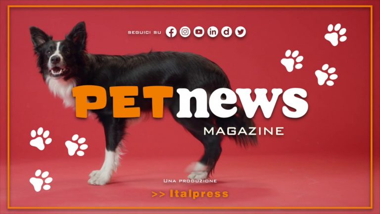 PetNews Magazine – 7/3/2023