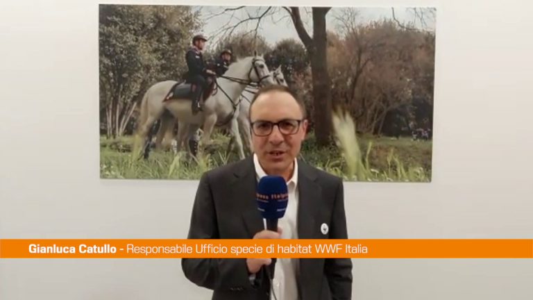 Ambiente, Catullo “Una seconda popolazione per il cervo italico”