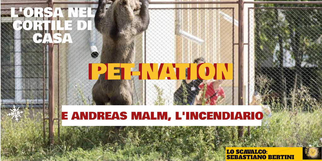 Pet-Nation – L’orsa nel cortile di casa e Andreas Malm
