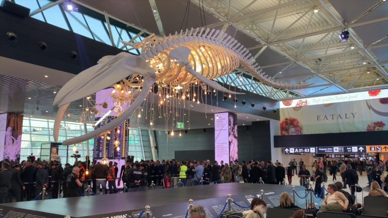 Aeroporto Fiumicino, inaugurata la nuova area imbarco del Terminal 1
