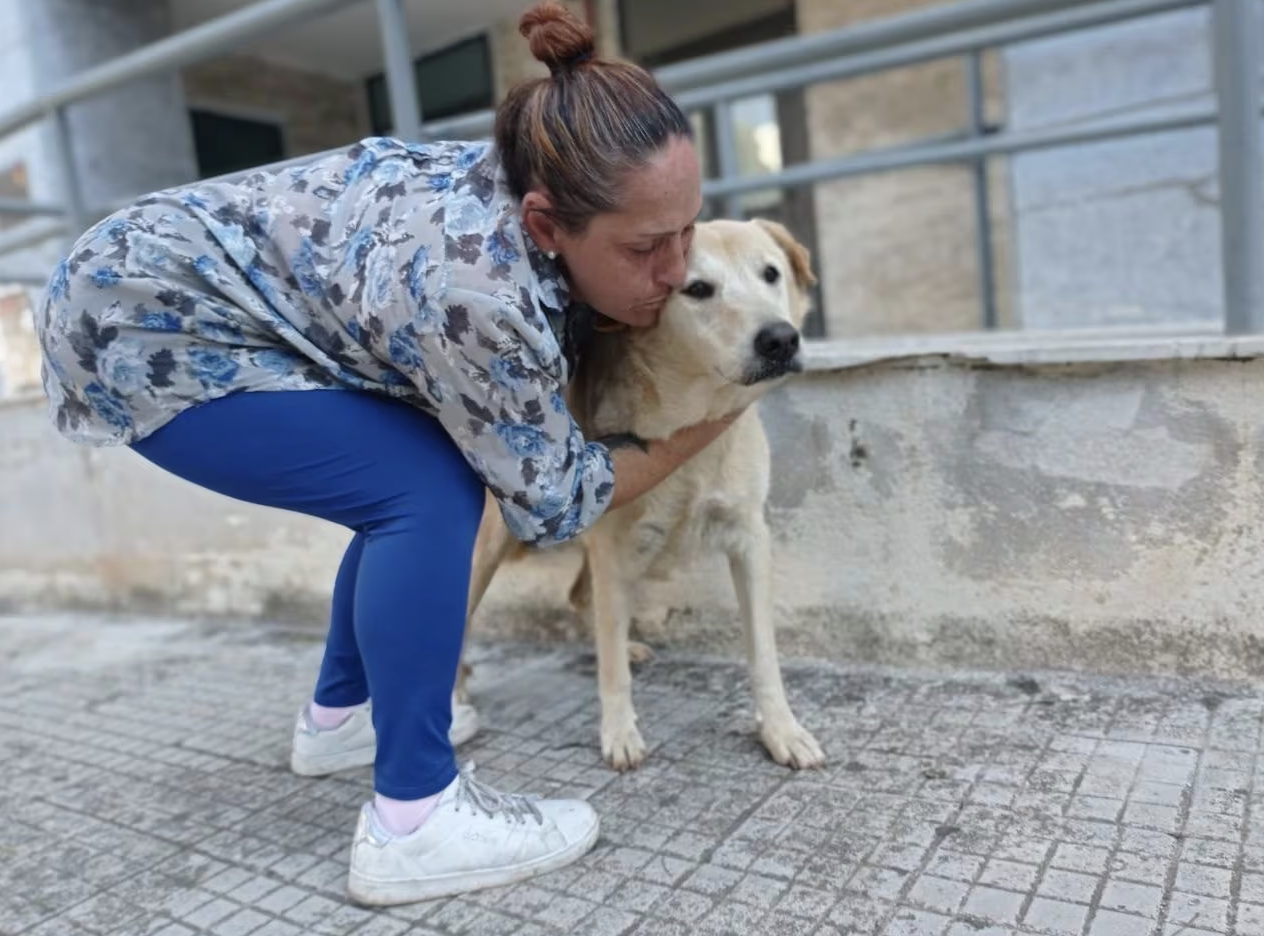 Addio a Luna, la cagnolina mascotte dell’università di Palermo