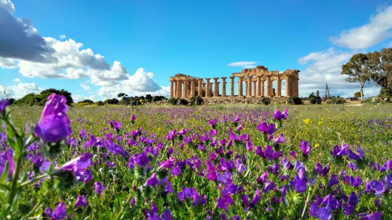 Al Parco archeologico di Selinunte la Giornata mondiale dell’Olivo