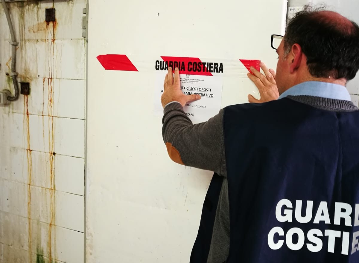 Stabilimento ittico abusivo a Mazara: sequestrati quasi 200 kg di gambero rosa