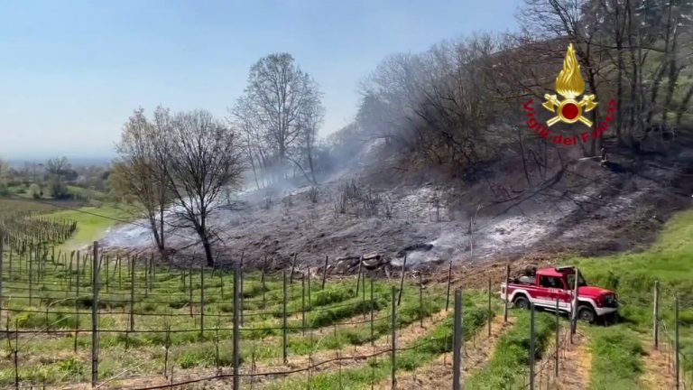 San Colombano al Lambro, incendio nel sottobosco. Lambite abitazioni