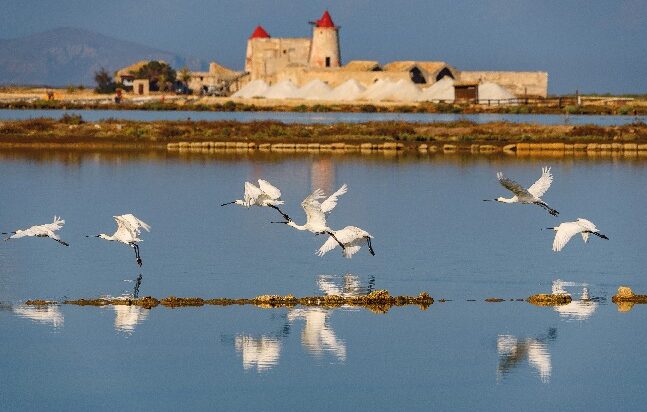 Mostra fotografica “Il Richiamo della Natura” al Museo Torre di Ligny di Trapani