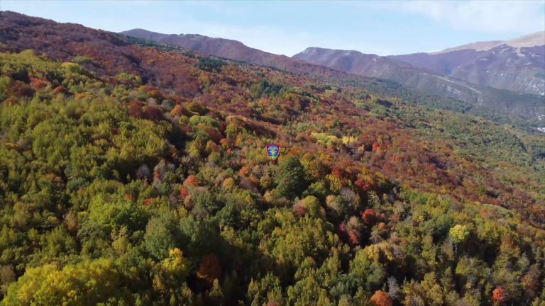 Biodiversità, una mostra dei carabinieri all’Onu