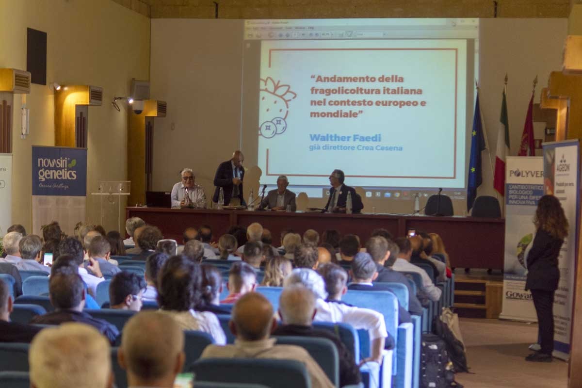 Agricoltura, Marsala ospita il 2° Simposio nazionale sulla Fragola e i piccoli Frutti