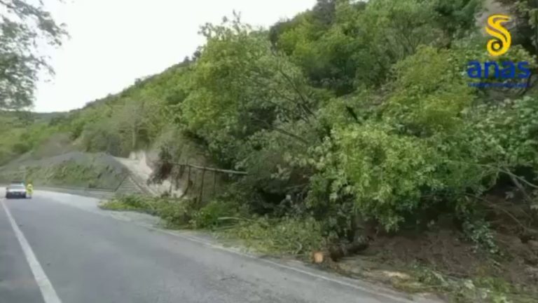 Il fiume Lamone in piena a Mezzano, le immagini