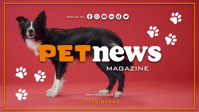 PetNews Magazine – 2/5/2023