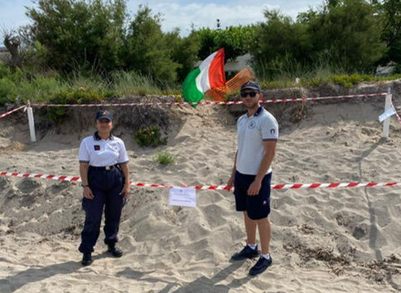 Al Lido Marina di Marsala nascono tartarughine di Caretta Caretta. VIDEO