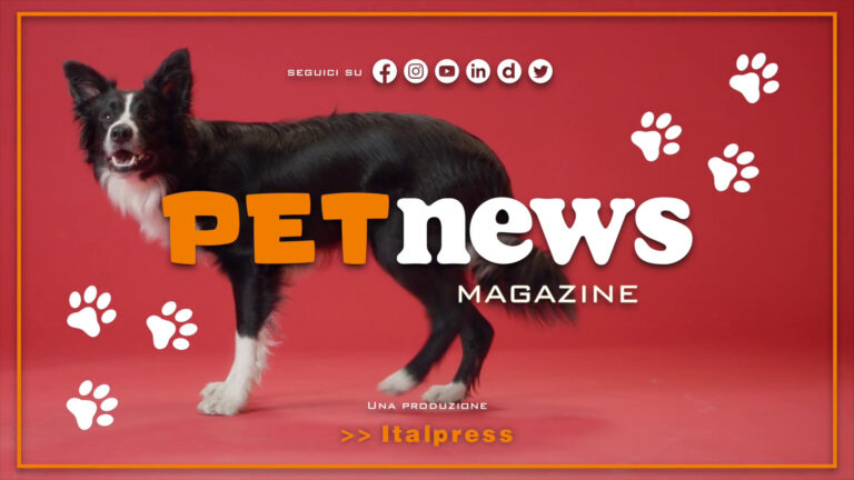 PetNews Magazine – 18/7/2023