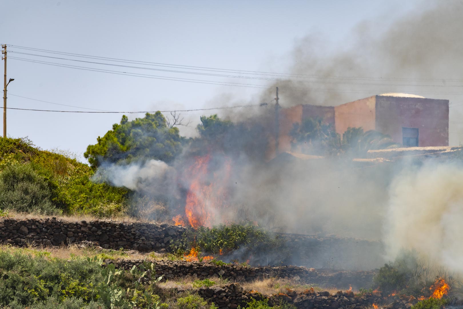 Diversi ettari di vigneti e vegetazione distrutti da un incendio a Pantelleria