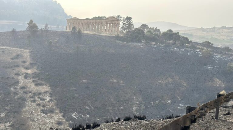 La deputata Ciminnisi (M5S) a Segesta: “Devastazione, urgente riforma dei forestali”