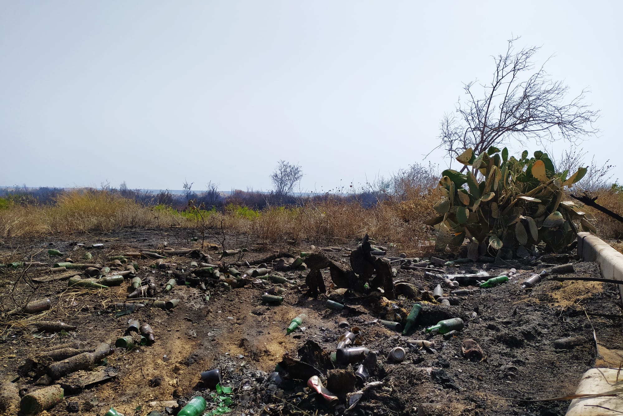 Primi incendi in Provincia di Trapani, a Marsala oltre 48 ore di cattivo odore sulla costa