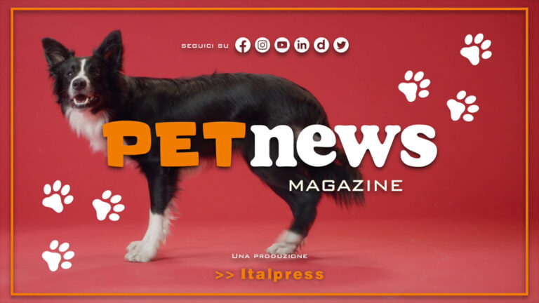 PetNews Magazine – 4/7/2023