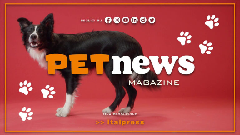 PetNews Magazine – 25/7/2023