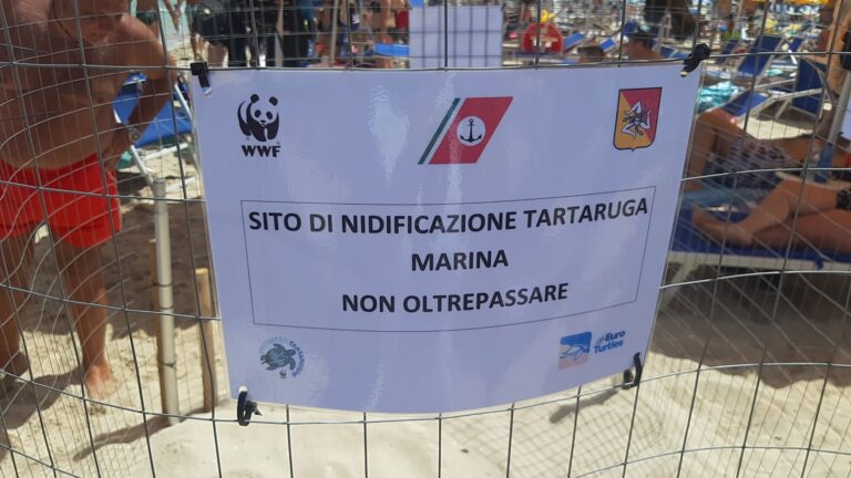 Agli incendiari il WWF risponde aiutando nido di tartarughe marine a San Vito