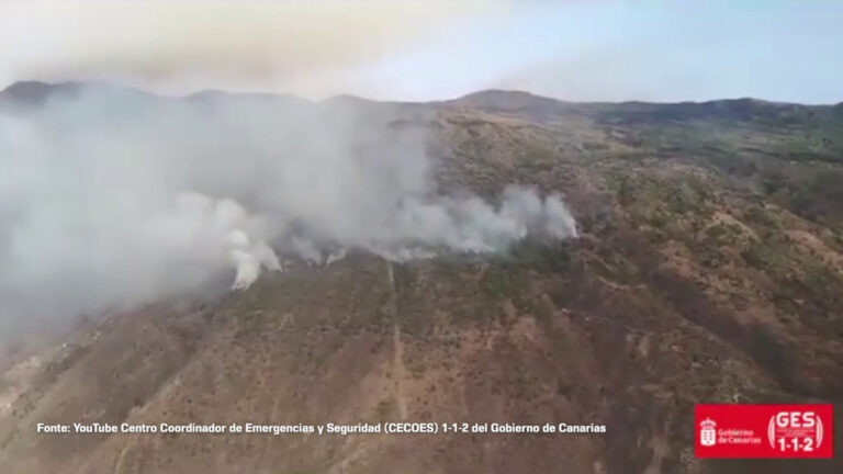 Spagna, in fiamme i boschi di Tenerife