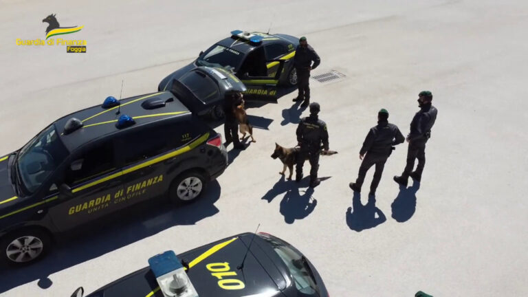 Controlli antidroga, segnalati 85 consumatori nel Foggiano