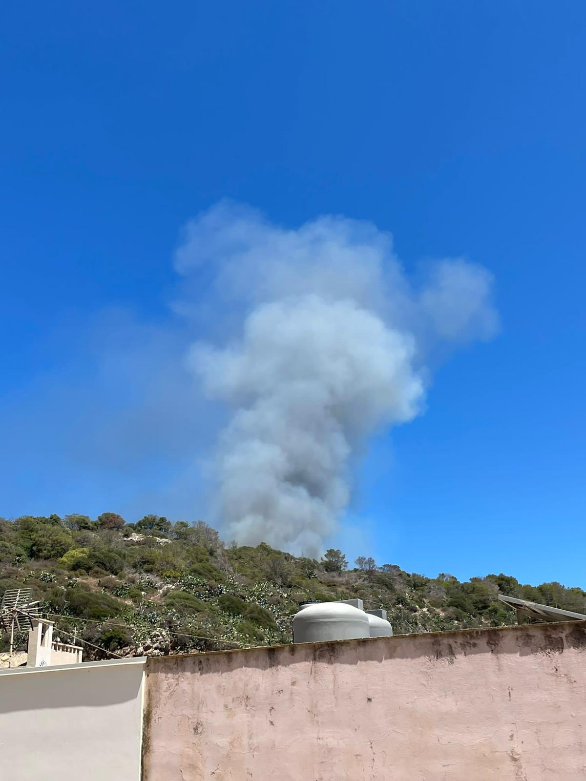 Incendio nella pineta di Levanzo, lo spegnimento con un coordinamento tra Istituzioni e cittadini